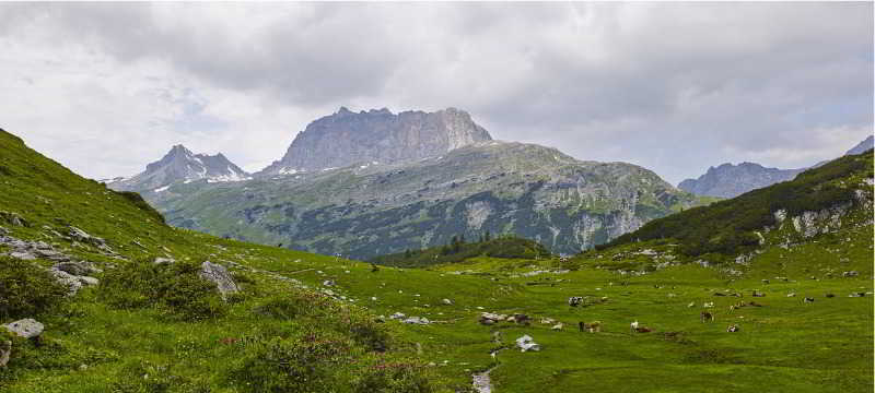 Hotel Sonnblick 3*